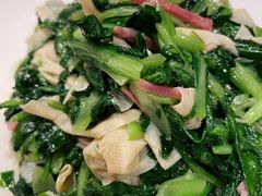 鸡毛菜百叶丝-老吉士酒家(天平路店)