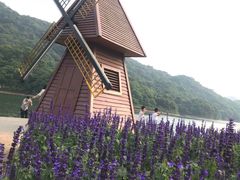 -广州市石门国家森林公园