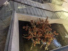 -徐州博顿温德姆酒店(高铁东站店)