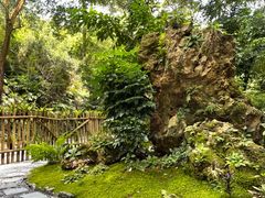 -深圳仙湖植物园