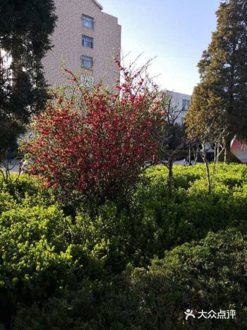 不开心的事2020年已经过去快一半了，都没有赚到啥的