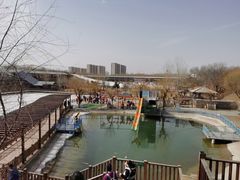 -北京鹿世界主题园