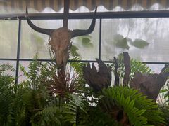 -野蔓果·山野菜(西湖景区·龙井茶田店)