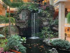 -广州白天鹅宾馆