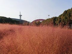 -南京奥林匹克体育中心