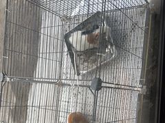 -马陆小张葡萄园农家乐