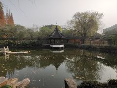 -上海醉白池公园