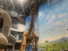 -辽宁古生物博物馆