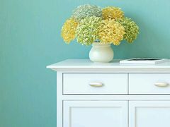 -一兰拉面(梅田阪急东通店)