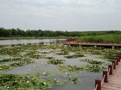 -怀来官厅水库
