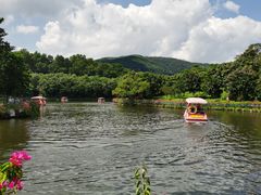 -大屏嶂森林公园