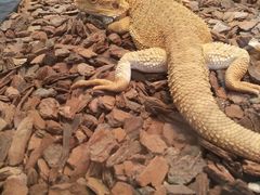 -高新活力汇Vitality