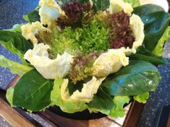 -额尔敦草原涮羊肉·烧烤(冻青树总店)
