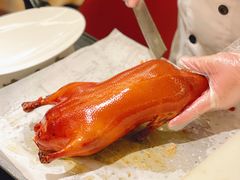 -宏宴·新京菜(望京店)