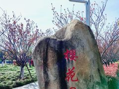 -高东镇樱花园