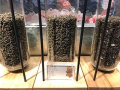四季春-喜茶(北京三里屯太古里店)