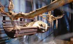 -酷嗒动物文化乐园(cutezoo西溪乐天城店)