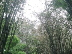 -望江楼公园
