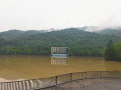 -江西阳明山国家森林公园