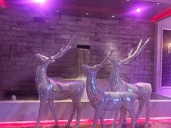 -奥斯汀KTV(金湖店)