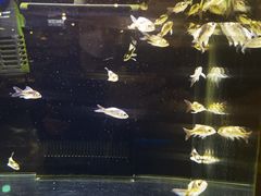 -宠物世家(仲盛世界商城店)