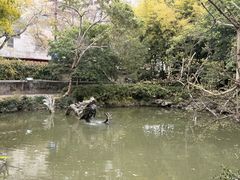 -汇龙潭
