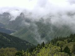 -黄龙山原始森林景区