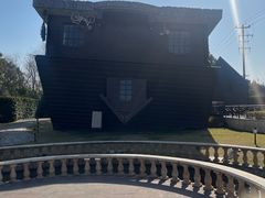 -金山农民画村-枫泾波兰倒置屋