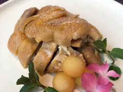 白切鸡-宁波状元楼酒店(和义路店)