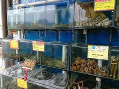 -蚝专家(北滘店)