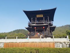 -大唐贡茶院