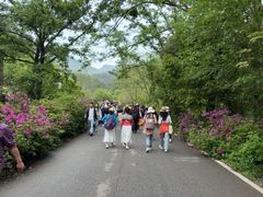 -木兰云雾山