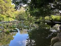 -燕晗山郊野公园