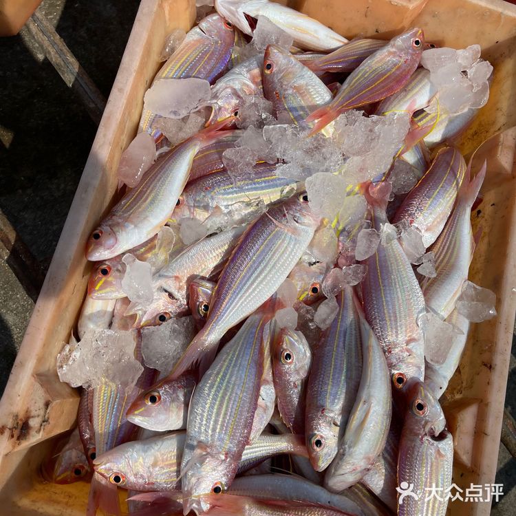 新村码头!海鲜买到爽,帮你避坑!