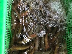 -都斛海鲜街