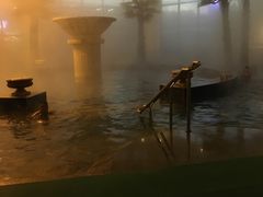 -仁爱团泊湖温泉中心