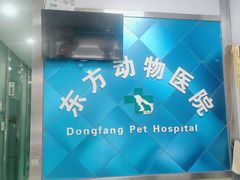 -东方动物医院·宠保定点·骨科·转诊中心(春城路·昆明站分院)
