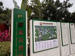 -野象谷景区