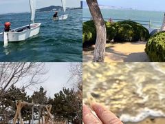 -日照灯塔风景区