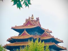 -四季民福烤鸭店(故宫店)