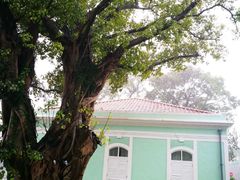 -龙环葡韵住宅式博物馆