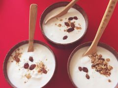 自制酸奶-巴依老爷新疆美食(望京小街店)