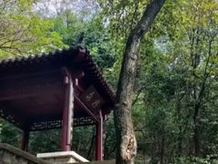 -北极阁公园