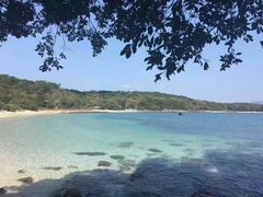 -东平洲海岸公园