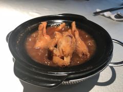 鲍汁凤爪-皇朝会.经典传统粤菜(外滩店)