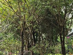 -南宁荔园维景国际酒店·荔园中餐厅