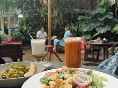 -Fern Forest Cafe