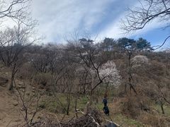 -慕田峪长城