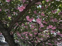 -木塔寺遗址生态公园