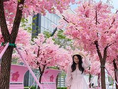 -东莞松山湖万象汇